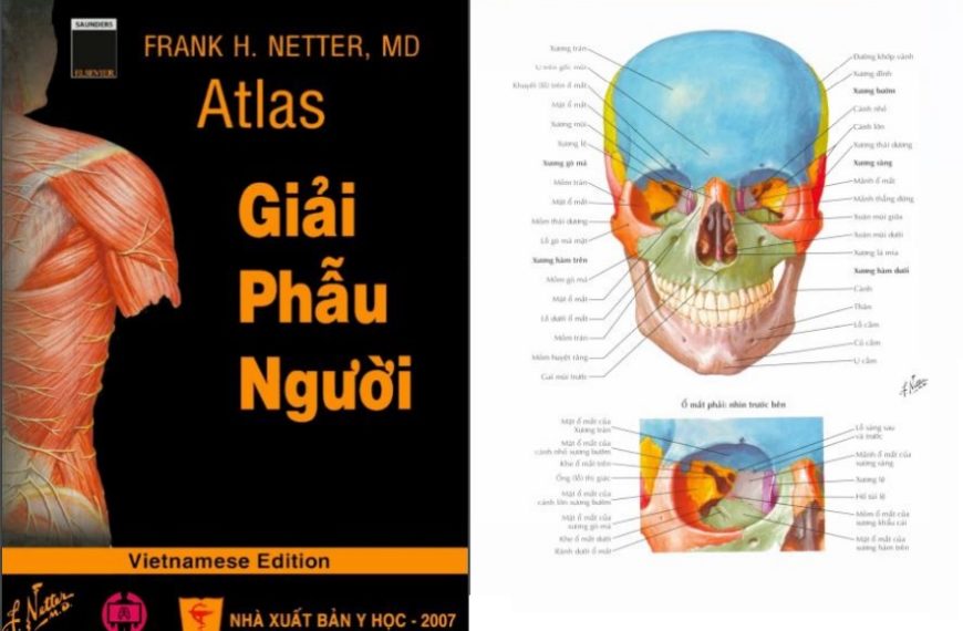 Sách Atlas giải phẫu cơ thể người (Atlas of Human Anatomy) PDF tiếng Việt